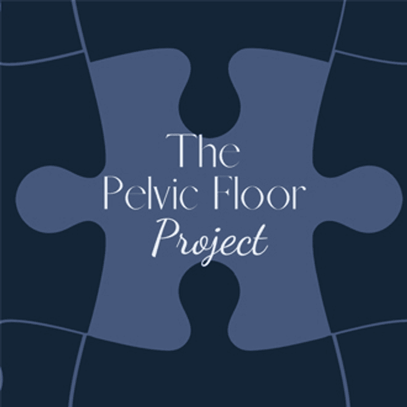 The Pelvic Floor Project - Melissa Dessaulas